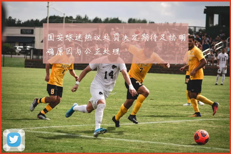 国安球迷热议处罚决定期待足协明确原因与公正处理